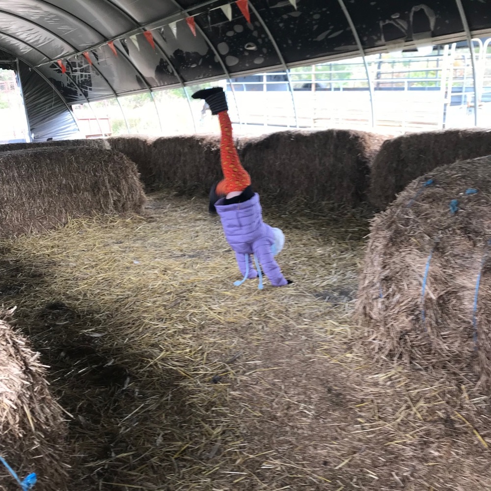 Meet your Posher, Stacey